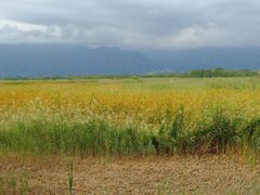 -野鸭湖国家湿地公园