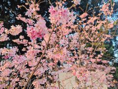 -乌山风景区
