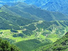 -白草畔自然风景区