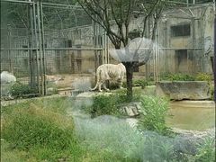 -黔灵山公园