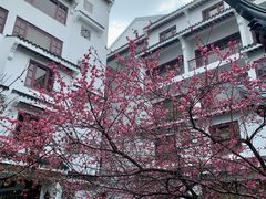 -海天楼中餐厅(吴宫泛太平洋酒店)
