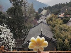 -潭柘寺景区