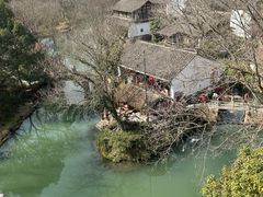 -西溪国家湿地公园