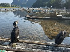 -桂林两江四湖景区