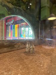 点击看大图 -宝燕乐园(闵行旗舰店)