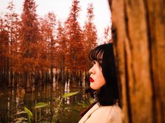 -白鹭湾湿地公园