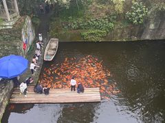 -千岛湖东南湖区