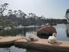 -罗红摄影艺术馆