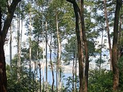 -三门江国家森林公园