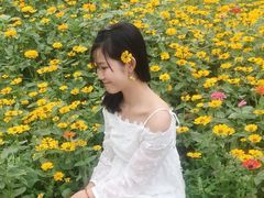 -光明小镇欢乐田园