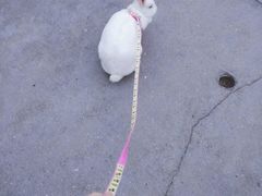 -同济大学(嘉定校区)