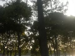 -美兰湖景区