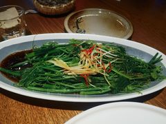 -鸽子窝(青塔店)