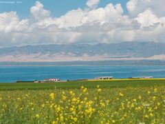 -青海湖国家重点风景名胜区