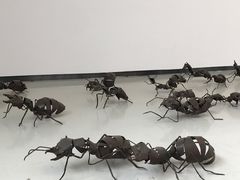 -四川美术学院美术馆