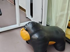 -简·无界健身工作室·运动康复·体态(石厦店)