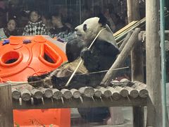 -栾川竹海野生动物园