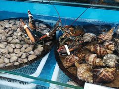 -港畔赶海蒸汽海鲜烧烤自助(仙螺岛店)