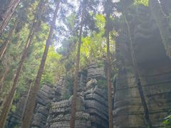 -梭布垭石林景区