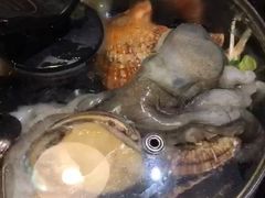 -东海章鱼馆(恒瑞街店)