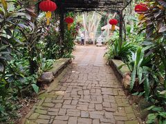 -海南热带野生动植物园