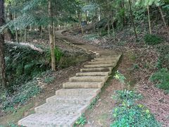 -上海佘山国家森林公园天马山园