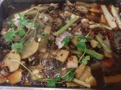 -沈姐万州烤鱼(沙坪坝七中店)