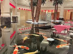 -唐山河头老街国丰维景度假大酒店