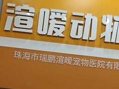 -渲嗳动物医院(异宠·复杂内科转诊中心·玖洲道富华里分院)