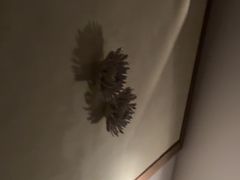 -Dragonfly悠庭·按摩Spa(静安嘉里中心店)