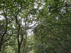 -南山风景名胜区