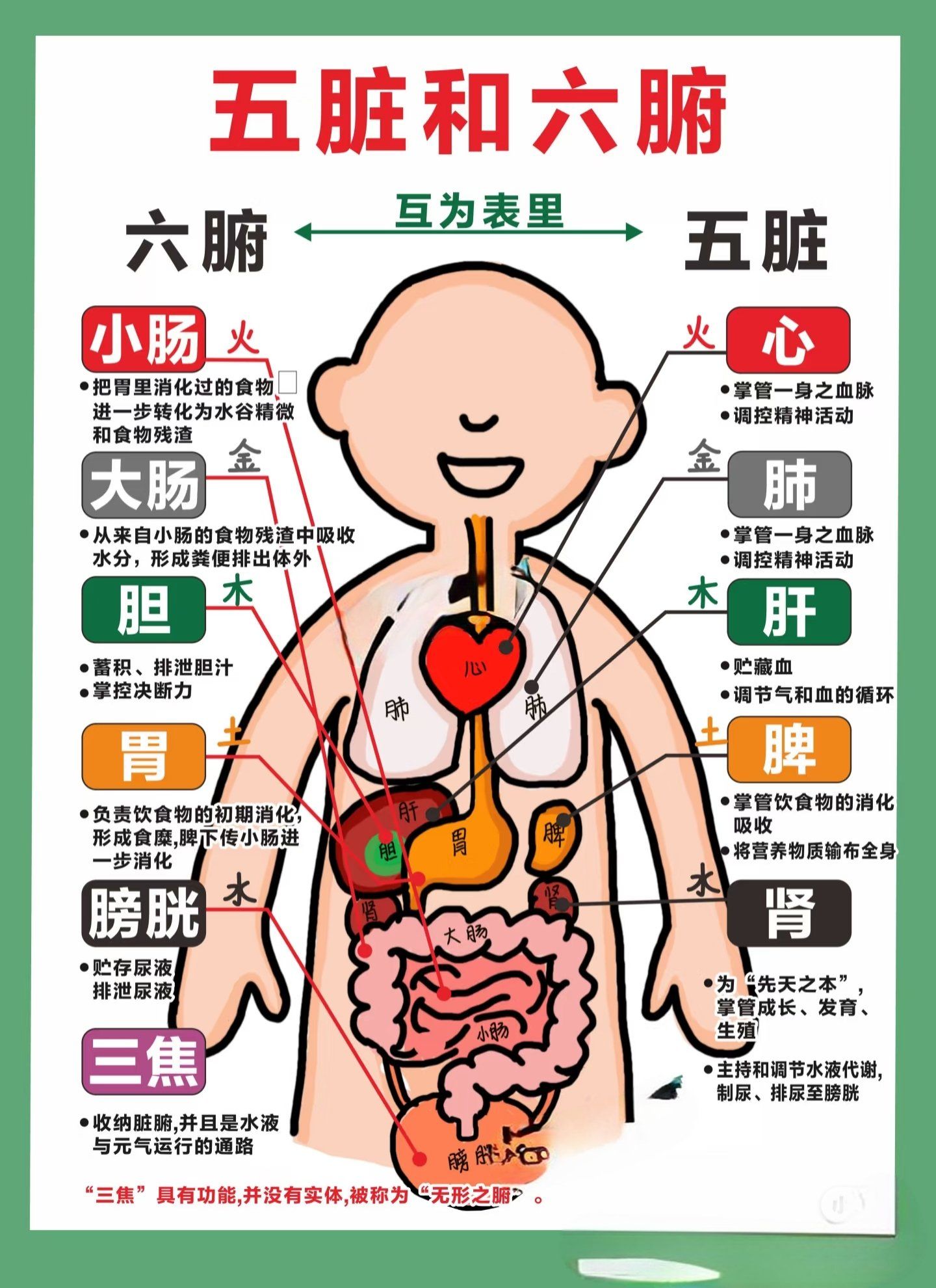 人体五行五脏,"气相得则和,不相得则病"