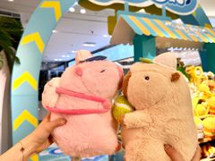 -合肥蜀山万象汇