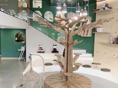 -飞行喵MR PILOT|猫舍·猫咖(静安大融城店)