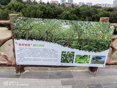 -霞山观海长廊