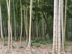 -宜兴张公洞