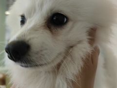 -怪兽屋·羊驼·猫咖·狗咖(俊华广场店)