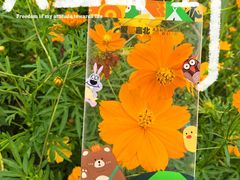 -嘉北郊野公园