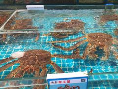 -琼大师东方烤乳猪(亚特兰蒂斯店)