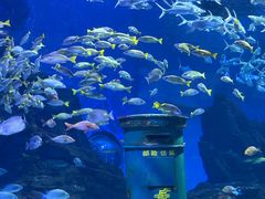 -海合安武汉极地海洋公园