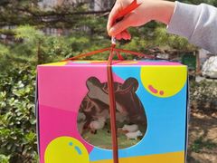 -CAKE BOSS 蛋糕老板(西单君太百货店)