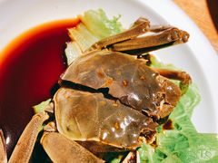 醉蟹-青菁酒家·象山海鲜(胜利河美食街店)