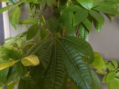 -沪碟·精菜坊(闵行店)