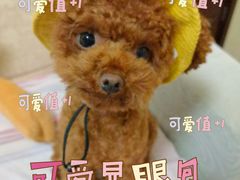 -瑞虹新天地月亮湾