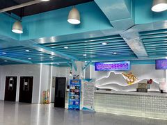 -乔波室内滑雪场