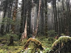 -硗碛藏寨·神木垒景区