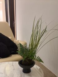 -上海薇琳医疗美容医院