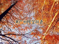 -中国科学院华南植物园