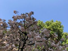 -方岩风景区