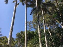 -鼓浪屿内厝澳码头(轮渡站)
